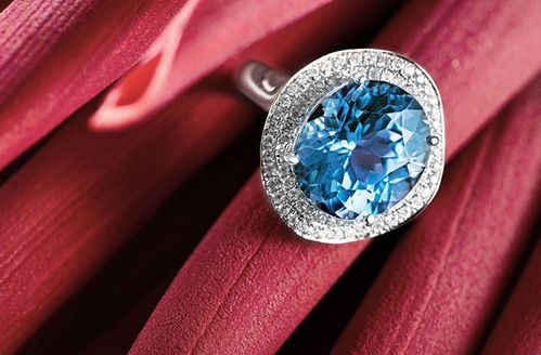 深圳專業攝影攝像服務 定格每一刻精彩瞬間